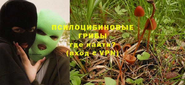 прущий лед Алексин
